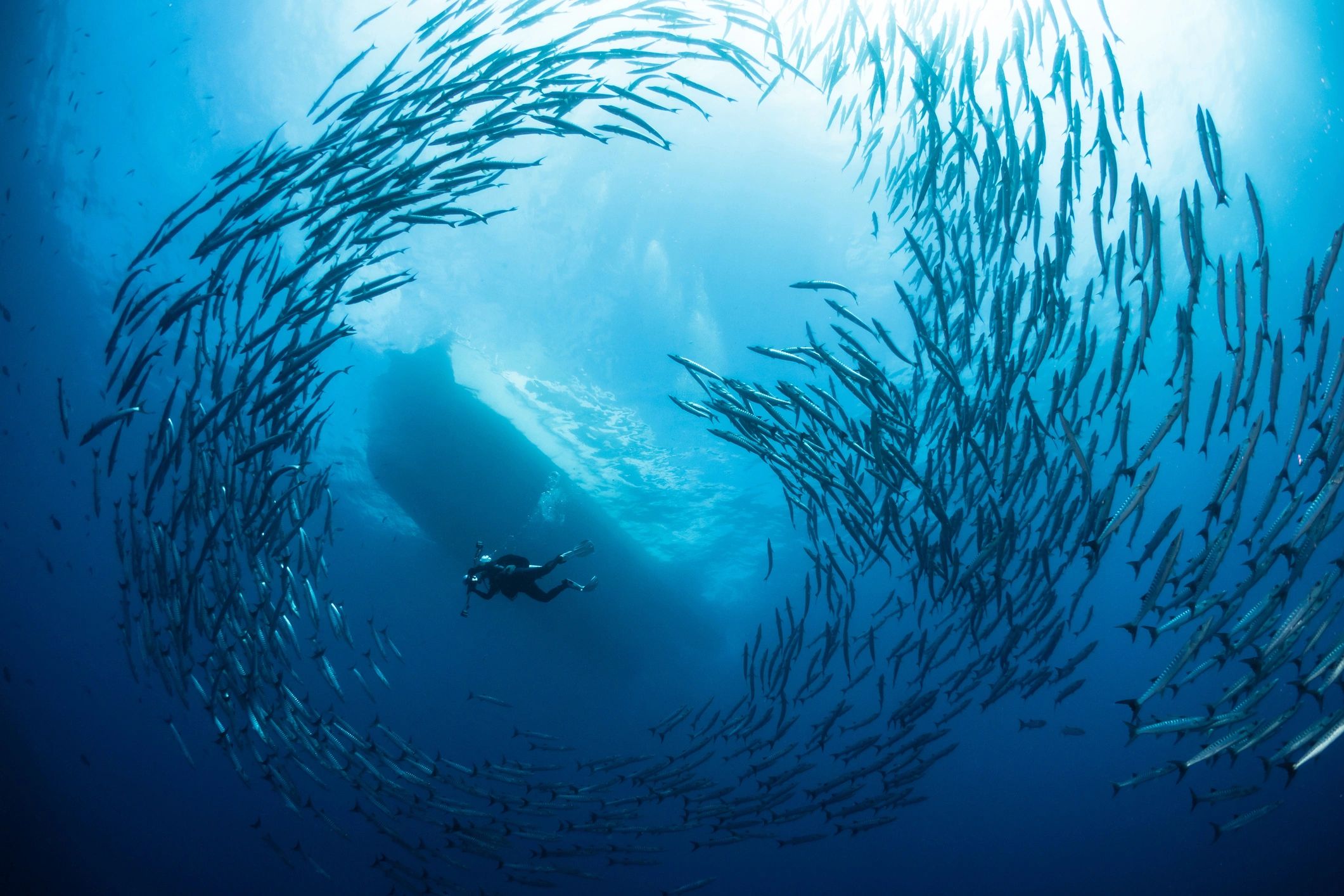 Diver surrounded by vibrant coral